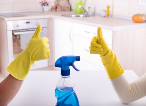 Professional end of tenancy cleaning in a Forest Hill style flat