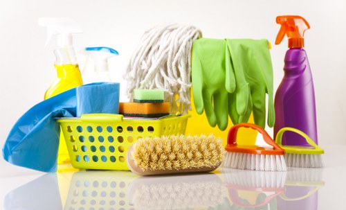 Local cleaner carrying out a routine clean in an SE23 property