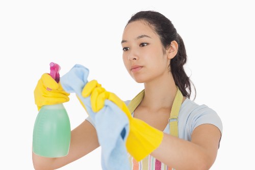 Facade cleaning service for a property exterior in SE23