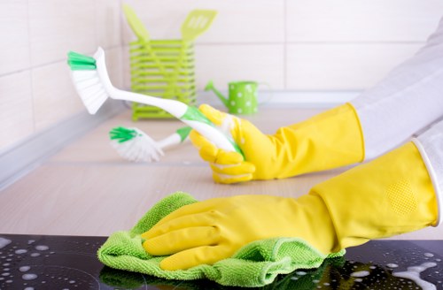 Local carpet cleaners treating stains and freshening carpet fibres