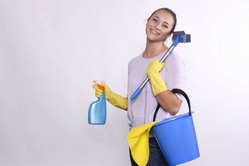 Supervisor reviewing health and safety procedures for carpet cleaning