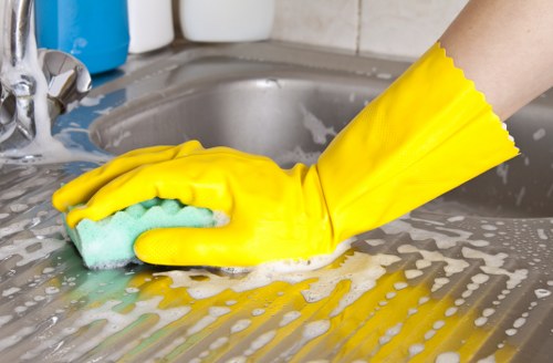 Professional pet stain and odour removal in a South East London property