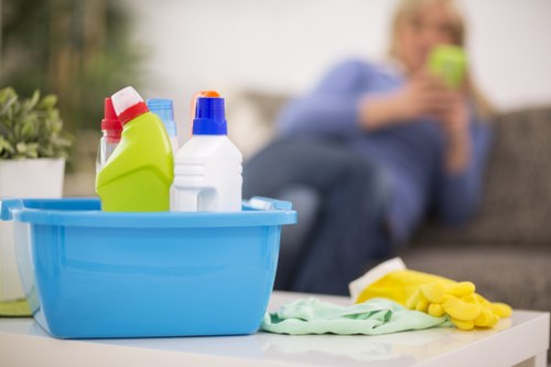Domestic cleaning tasks for kitchens and bathrooms in SE23 properties
