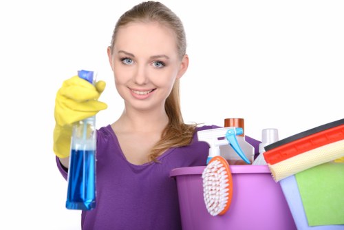 Service details being reviewed for a carpet cleaning concern