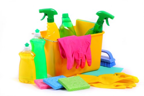 Local carpet cleaning service treating a hallway carpet in SE23