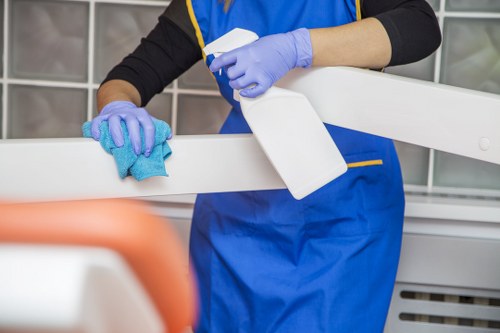 Carpet and upholstery pet odour treatment for SE23 homes